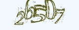 자동방지입력문자